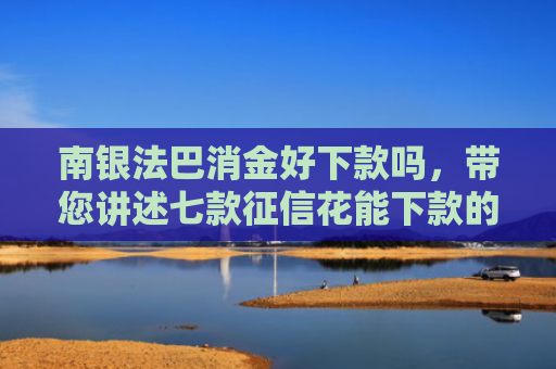 南银法巴消金好下款吗，带您讲述七款征信花能下款的正规网贷