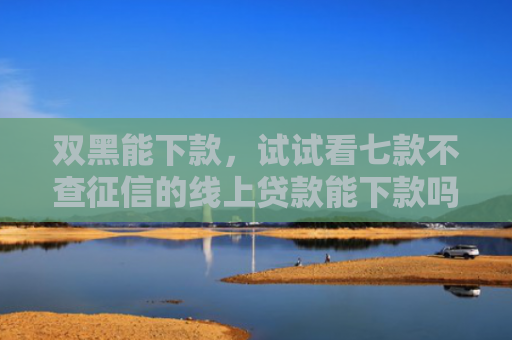 双黑能下款，试试看七款不查征信的线上贷款能下款吗