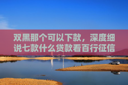 双黑那个可以下款，深度细说七款什么贷款看百行征信好下款