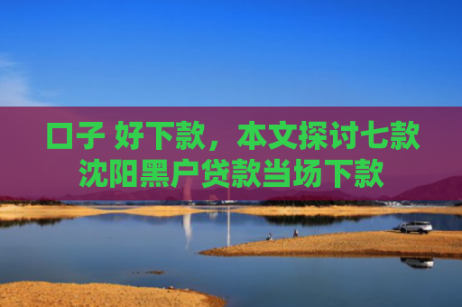 口子 好下款，本文探讨七款沈阳黑户贷款当场下款