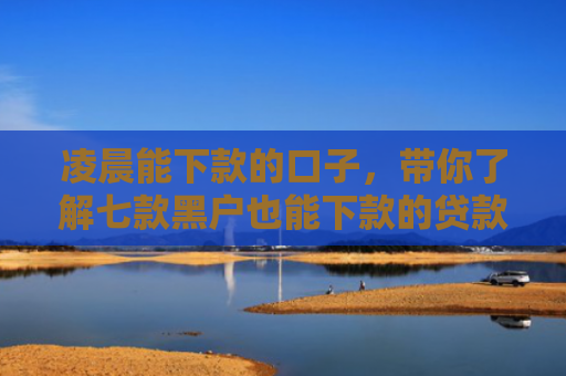 凌晨能下款的口子，带你了解七款黑户也能下款的贷款平台