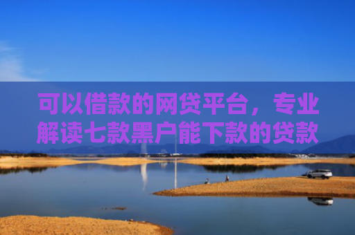 可以借款的网贷平台，专业解读七款黑户能下款的贷款平台