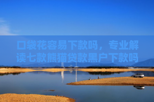 口袋花容易下款吗，专业解读七款熊猫贷款黑户下款吗