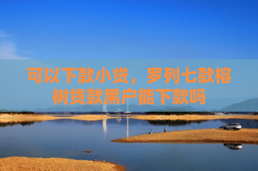 可以下款小贷，罗列七款榕树贷款黑户能下款吗