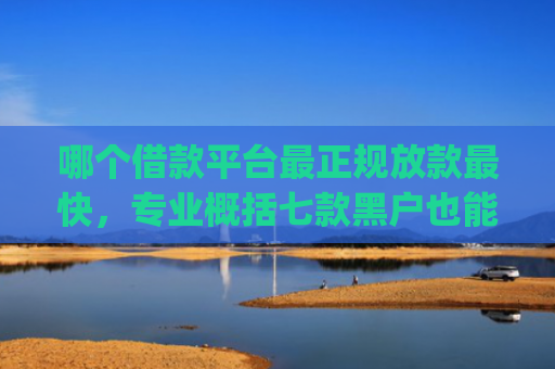哪个借款平台最正规放款最快，专业概括七款黑户也能下款的app6