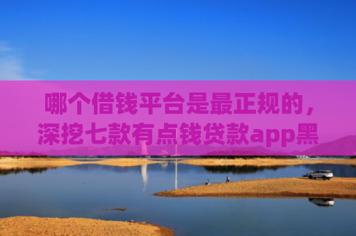 哪个借钱平台是最正规的，深挖七款有点钱贷款app黑户能下款吗