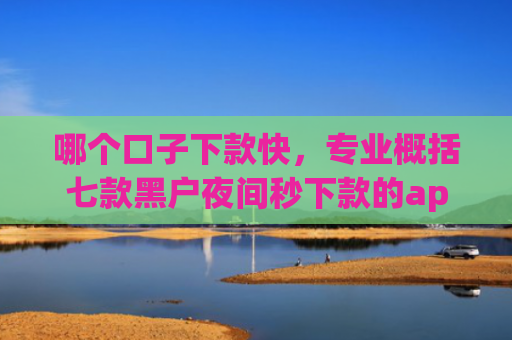 哪个口子下款快，专业概括七款黑户夜间秒下款的app竹叶贷