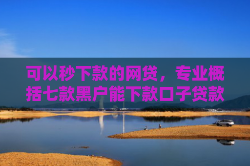 可以秒下款的网贷，专业概括七款黑户能下款口子贷款吗