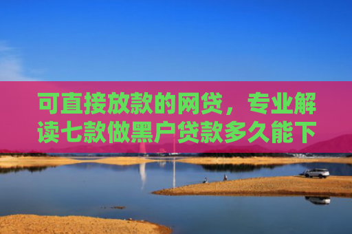 可直接放款的网贷，专业解读七款做黑户贷款多久能下款