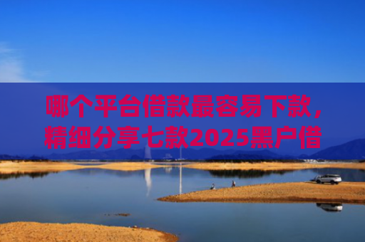 哪个平台借款最容易下款，精细分享七款2025黑户借钱平台什么最好下款app