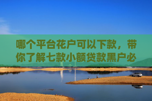 哪个平台花户可以下款，带你了解七款小额贷款黑户必下款的app