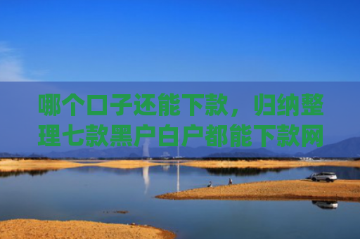 哪个口子还能下款，归纳整理七款黑户白户都能下款网贷app