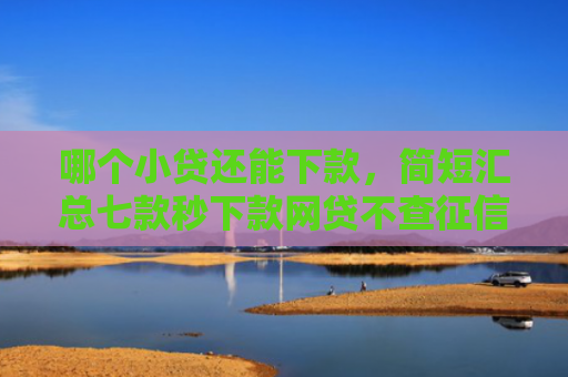 哪个小贷还能下款，简短汇总七款秒下款网贷不查征信