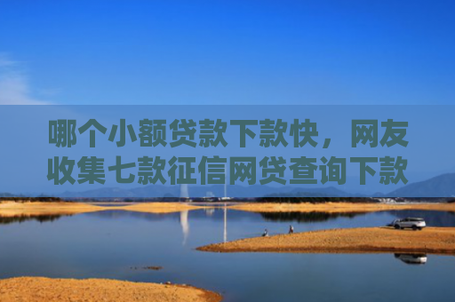 哪个小额贷款下款快，网友收集七款征信网贷查询下款率