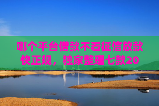哪个平台借款不看征信放款快正规，独家整理七款2025年8月黑户下款app