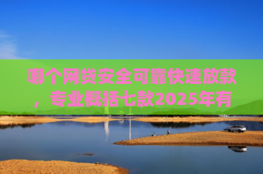 哪个网贷安全可靠快速放款，专业概括七款2025年有黑户下款的app吗