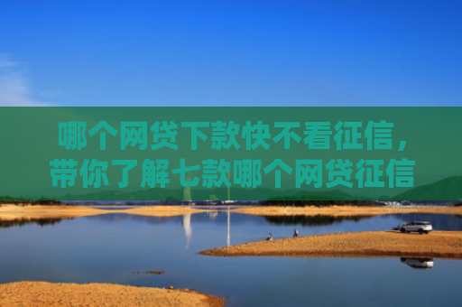 哪个网贷下款快不看征信，带你了解七款哪个网贷征信下款