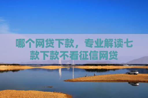 哪个网贷下款，专业解读七款下款不看征信网贷