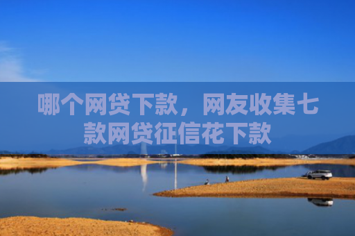 哪个网贷下款，网友收集七款网贷征信花下款