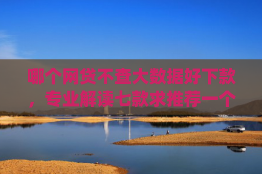 哪个网贷不查大数据好下款，专业解读七款求推荐一个黑户能下款的app