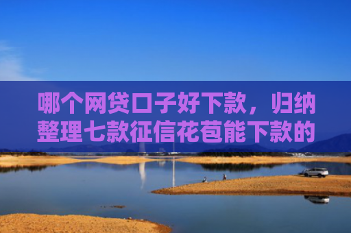 哪个网贷口子好下款，归纳整理七款征信花苞能下款的网贷