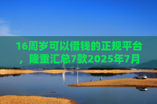 16周岁可以借钱的正规平台，隆重汇总7款2025年7月能下款的网贷口子