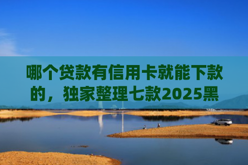 哪个贷款有信用卡就能下款的，独家整理七款2025黑户夜间秒下款的App