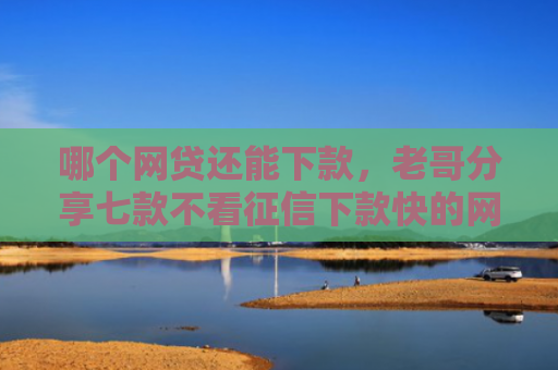 哪个网贷还能下款，老哥分享七款不看征信下款快的网贷