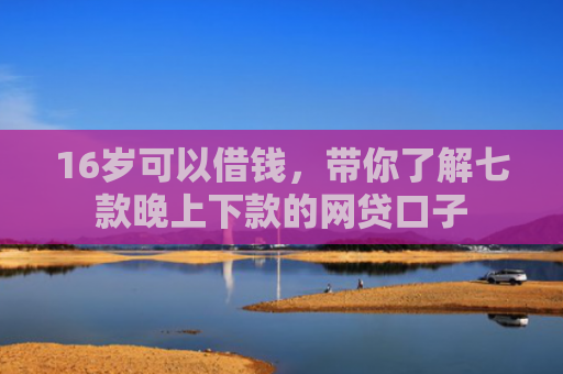 16岁可以借钱，带你了解七款晚上下款的网贷口子