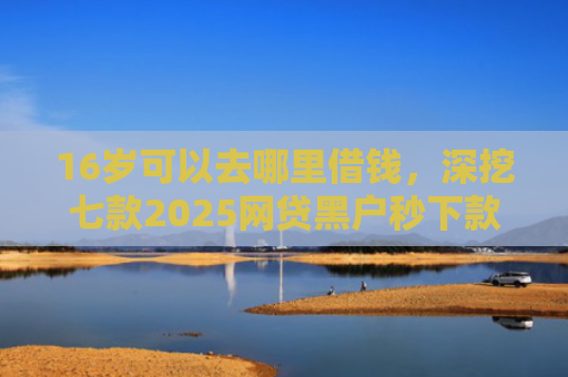 16岁可以去哪里借钱，深挖七款2025网贷黑户秒下款的口子