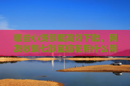哪些小贷额度高好下款，网友收集七款征信花用什么网贷会下款