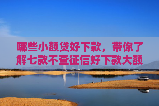 哪些小额贷好下款，带你了解七款不查征信好下款大额网贷