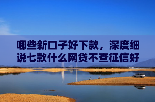 哪些新口子好下款，深度细说七款什么网贷不查征信好下款