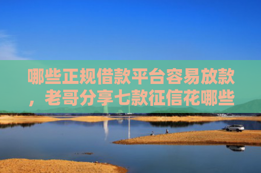 哪些正规借款平台容易放款，老哥分享七款征信花哪些网贷会下款