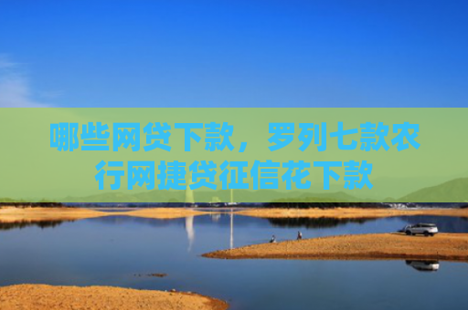 哪些网贷下款，罗列七款农行网捷贷征信花下款