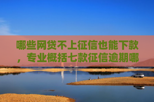 哪些网贷不上征信也能下款，专业概括七款征信逾期哪个网贷能下款