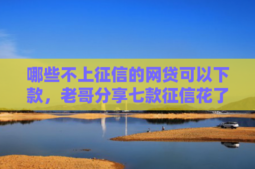 哪些不上征信的网贷可以下款，老哥分享七款征信花了下款的网贷口子