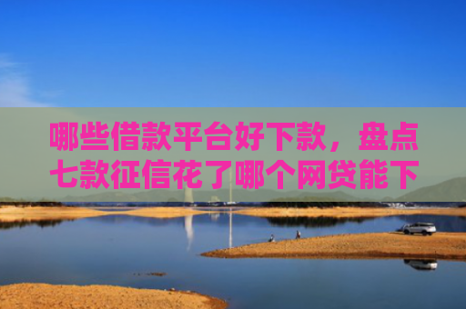 哪些借款平台好下款，盘点七款征信花了哪个网贷能下款