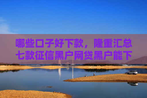 哪些口子好下款，隆重汇总七款征信黑户网贷黑户能下款