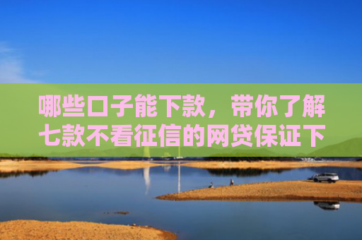 哪些口子能下款，带你了解七款不看征信的网贷保证下款