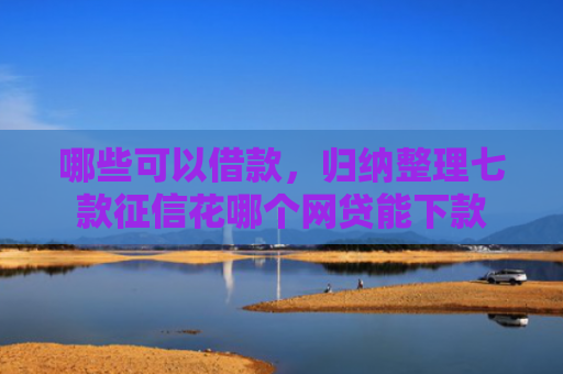 哪些可以借款，归纳整理七款征信花哪个网贷能下款