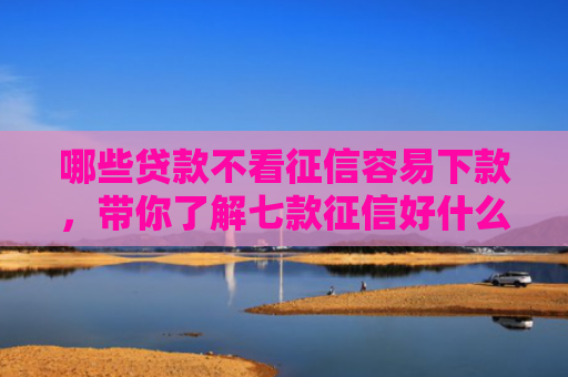 哪些贷款不看征信容易下款，带你了解七款征信好什么网贷下款快
