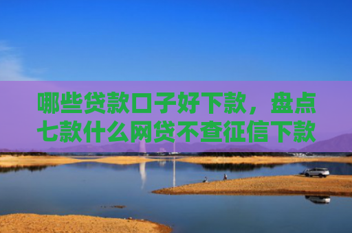 哪些贷款口子好下款，盘点七款什么网贷不查征信下款快