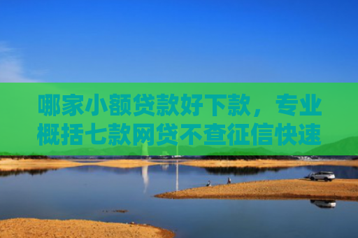 哪家小额贷款好下款，专业概括七款网贷不查征信快速下款