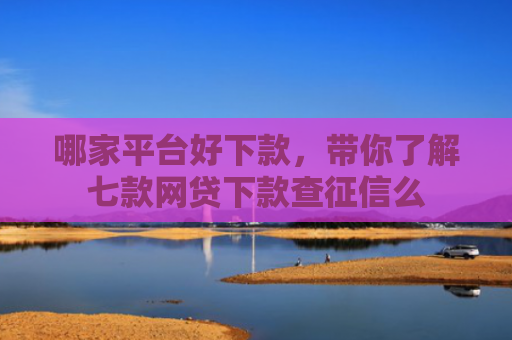 哪家平台好下款，带你了解七款网贷下款查征信么
