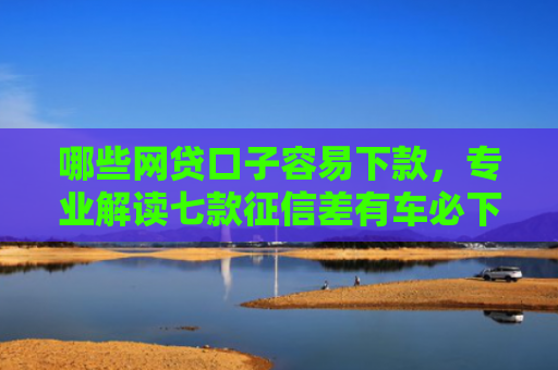 哪些网贷口子容易下款，专业解读七款征信差有车必下款的网贷