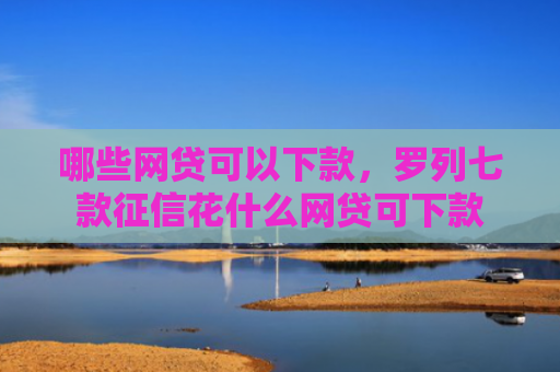 哪些网贷可以下款，罗列七款征信花什么网贷可下款
