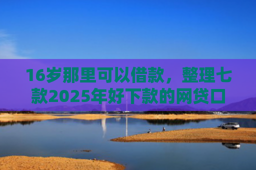 16岁那里可以借款，整理七款2025年好下款的网贷口子