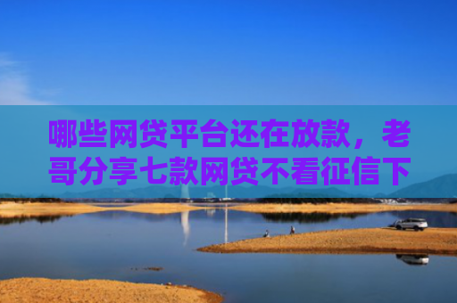 哪些网贷平台还在放款，老哥分享七款网贷不看征信下款快6