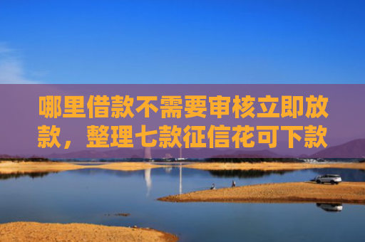 哪里借款不需要审核立即放款，整理七款征信花可下款的网贷